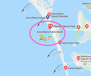 Fishing Guide ~ Anna Maria Island